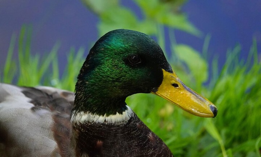 Image 15: Hampton Court Palace from Southampton Cruise Terminal