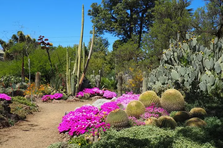 Ruth Bancroft Garden General Admission Ticket