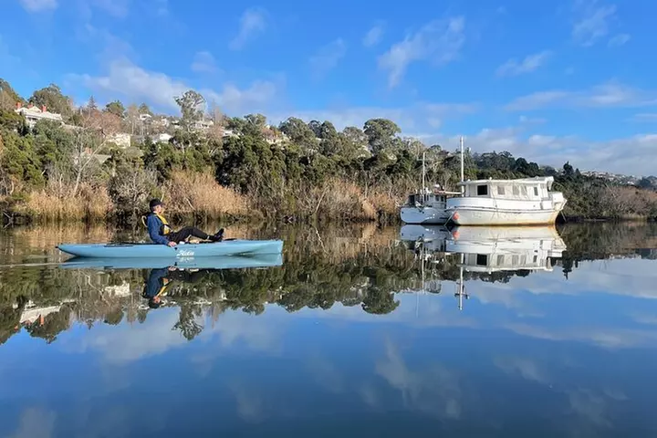 Guided Kayak Tour on Launceston's scenic waterfront on foot powered...