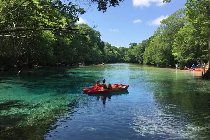 Cypress Springs Eco Adventure