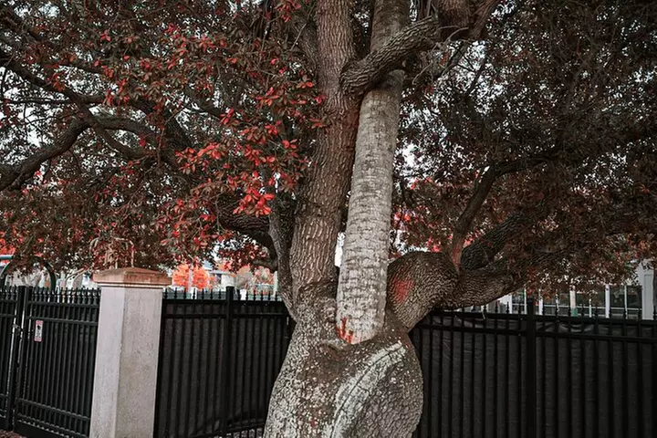 The Night Watchman Ghost Walking Tour