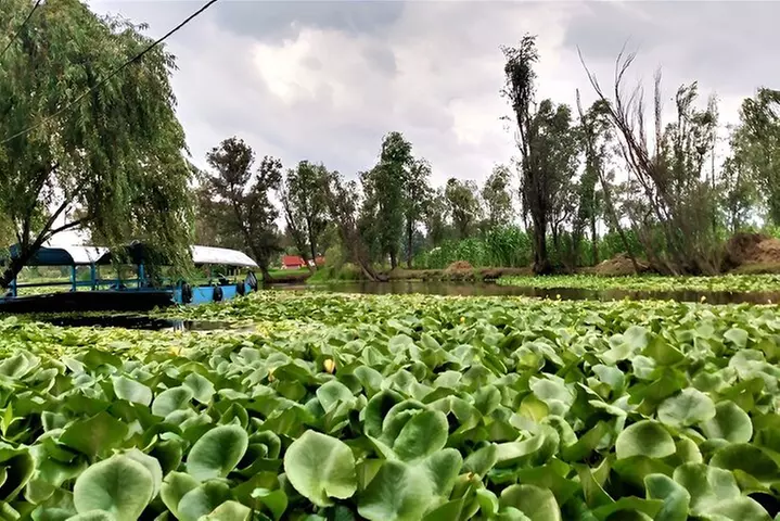 Xochimilco Day Trip Know a Farmland Food and Hop on a Trajinera - Primary Image