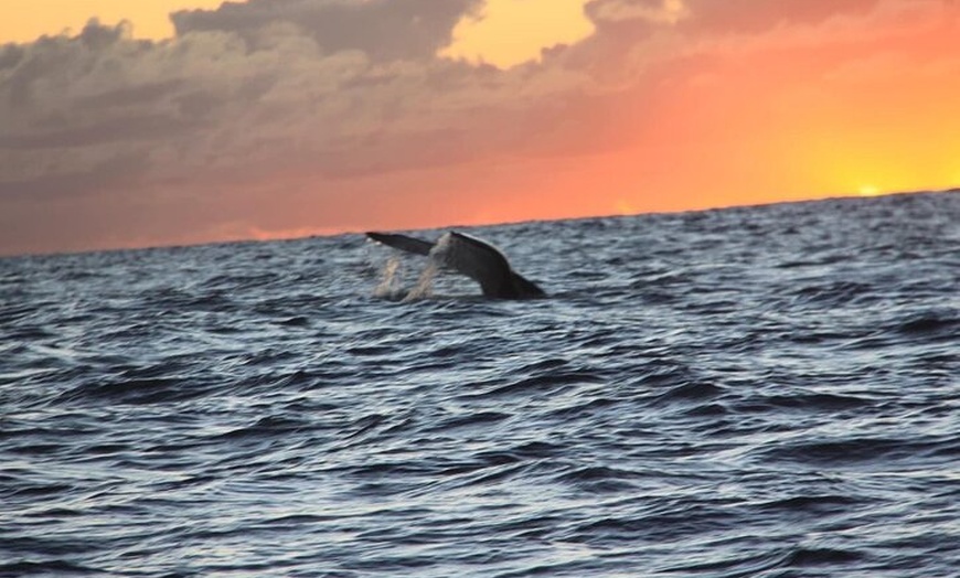 Image 27: Kalbarri Sunset Cruise and Coastal Cliffs