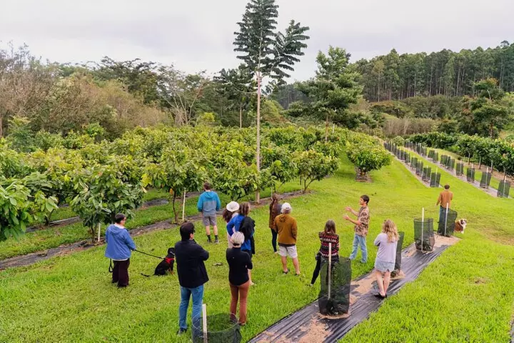 10 Bar Hawaiian Craft Chocolate Tasting Experience
