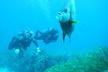 Discover Scuba - Second Medium