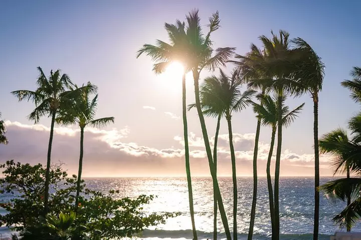 Wailele Luau Including Fire and Knife Performance Plus Dinner