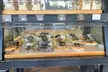 5% Cash Back at Duke Bakery - Second Medium
