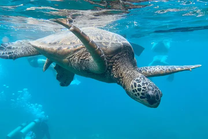 Hawaiian Culture & Snorkel Adventure with Photo/Videos - Second Medium