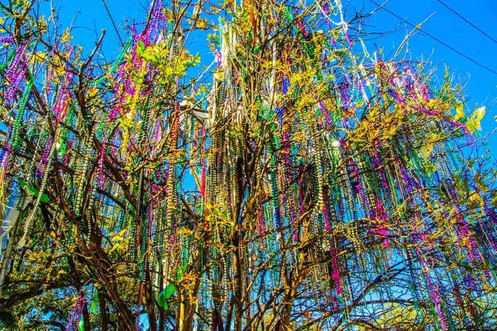 New Orleans Small-Group City Tour by Van