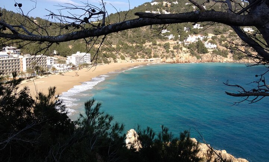 Image 5: Ibiza Vuelta Isla en Bus con visita a Mercadillo Hippie