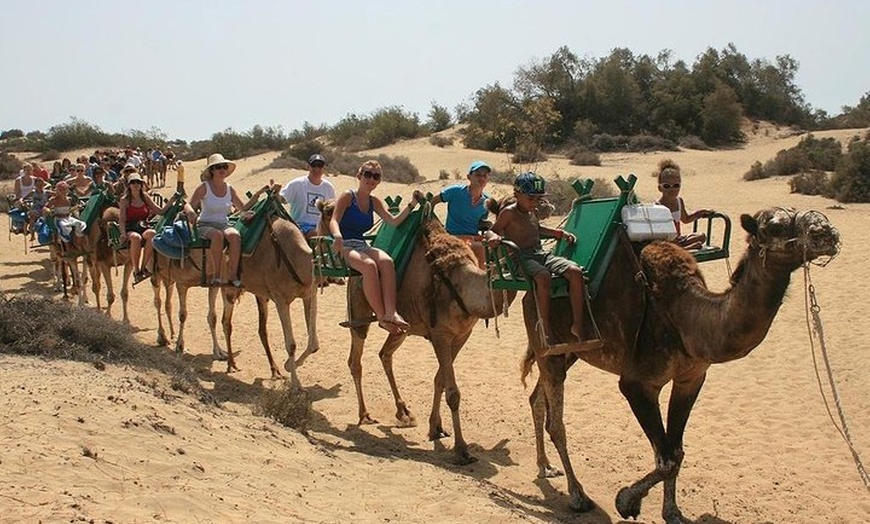 Image 2: Paseos en Camello por las Dunas de Maspalomas