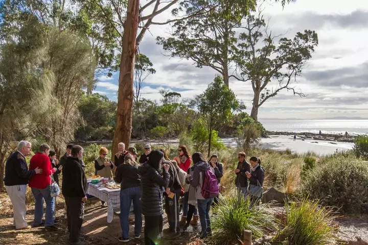 Bruny Island Food, Sightseeing, Guided Lighthouse Tour & Lunch