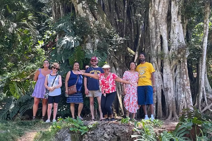 Next Level Oahu Circle Island Tour Snorkel w/Turtles and Byodo-In