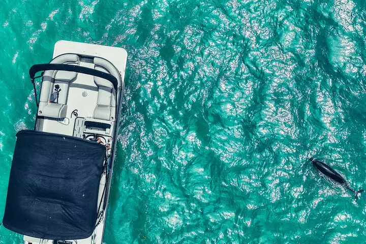Clearwater Beach Private Pontoon Boat Tours