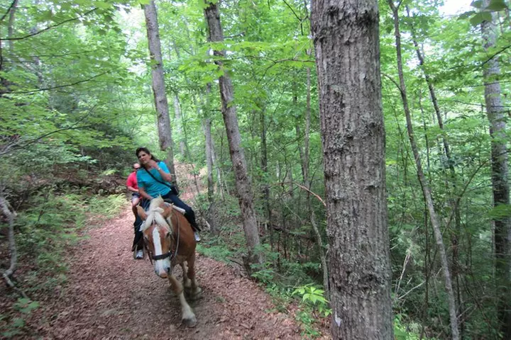 Guided Horseback Ride through Flame Azalea and Fern Forest