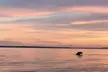 Hilton Head Sunset Dolphin and Sightseeing Tour via Mini Boat - Second Medium