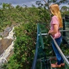 Image 22: Small Group Kuranda Tour via Kuranda Scenic Rail and Skyrail