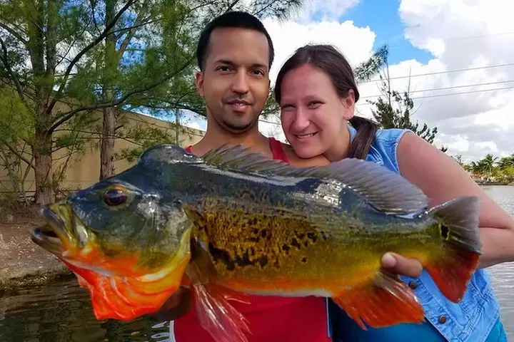 Peacock Bass Fishing Trips Near Miami Florida