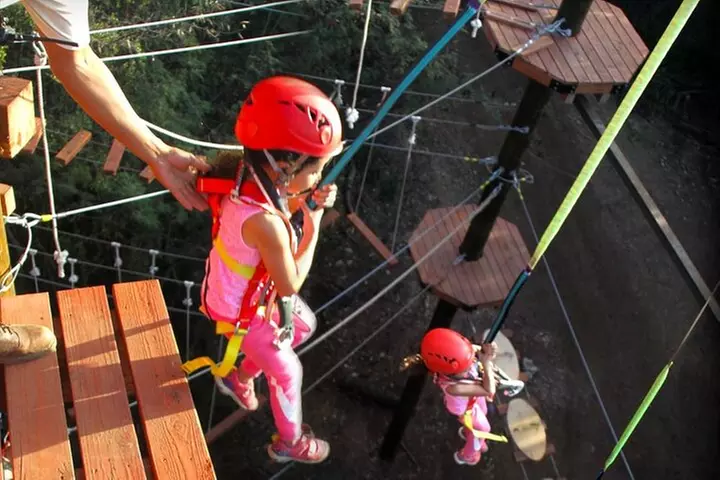 Adventure Tower Experience