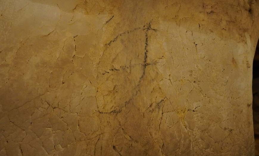 Image 8: Tour VIP en Málaga: Experiencia exclusiva en coche eléctrico