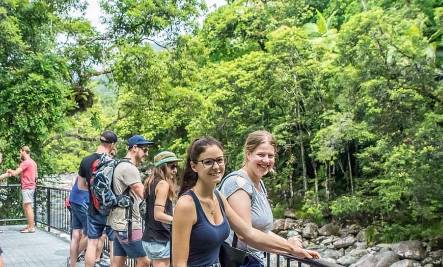 Image 6: Cape Tribulation, Mossman Gorge, and Daintree Rainforest Day Trip