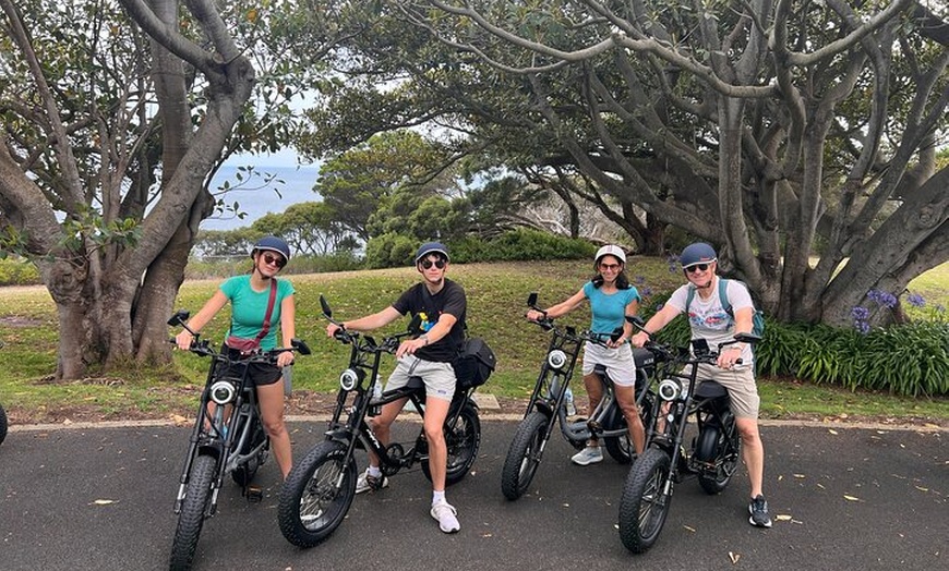 Image 18: E-Bike Hire Mornington Peninsula