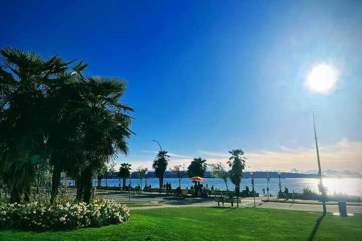 Vancouver Day Trip | Grouse Mountain & Capilano Suspension Bridge Private - Primary Image