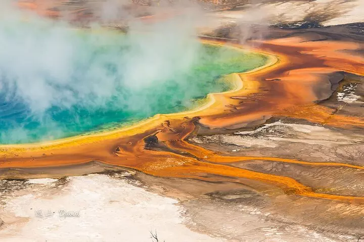 Full-Day Tour in Yellowstone National Park - Primary Image