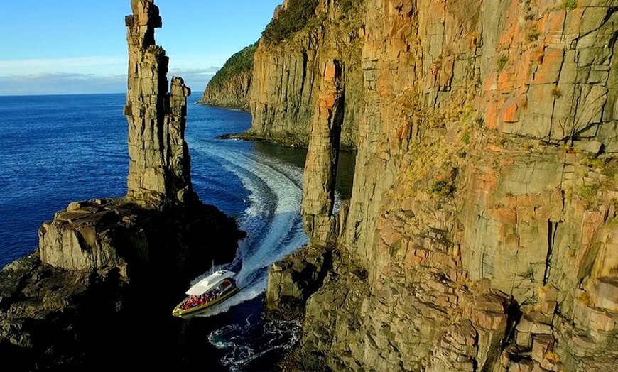 Image 2: 3-Hour Bruny Island Cruise from Adventure Bay, Bruny Island