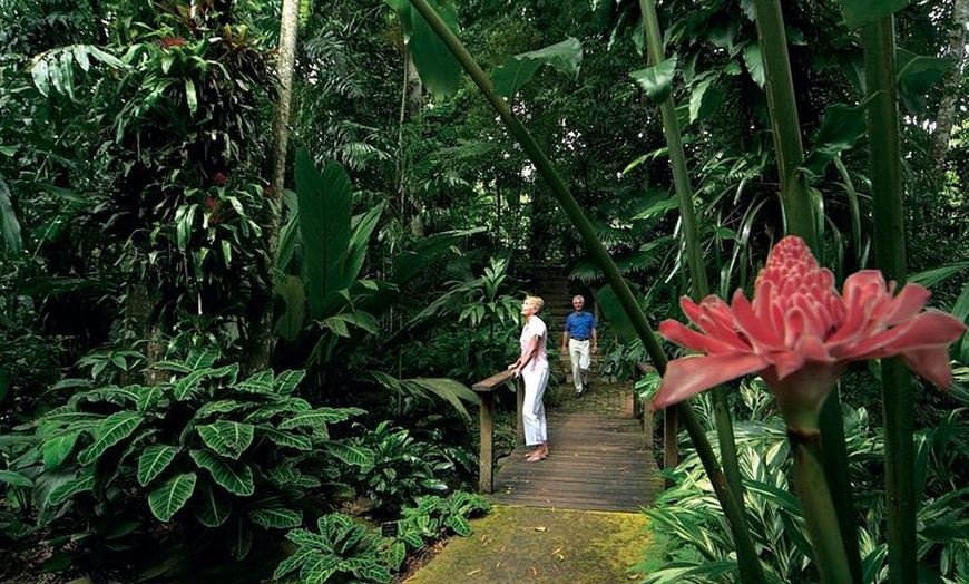 Image 7: Cairns City Sights and Surrounds Tour