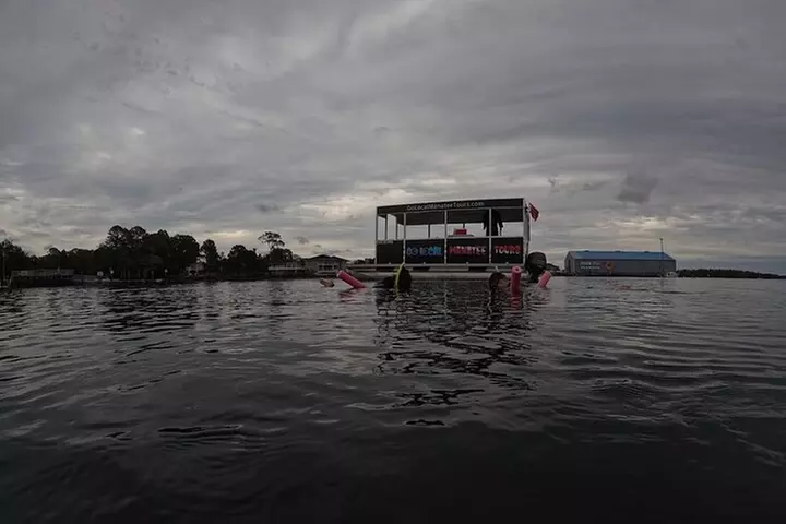 3 Hour Small Group All Inclusive Manatee Swim with free Photo pkg