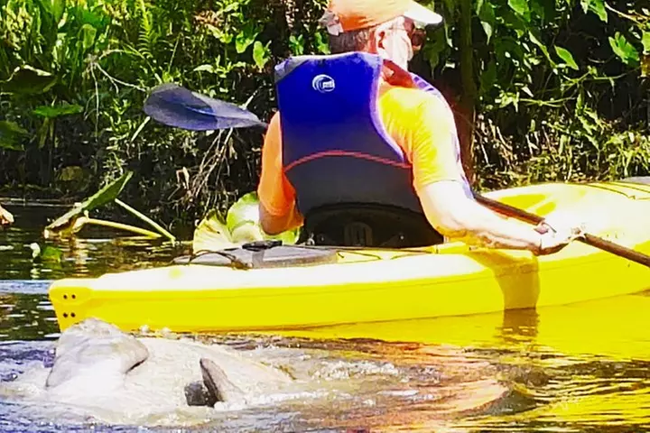 Wekiva River Guided Kayak Tour