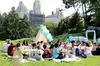 Central Park Luxury Picnic for 5 to 8 Person