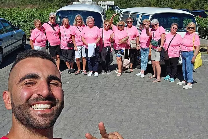 Painted Ladies Wine Country Tour