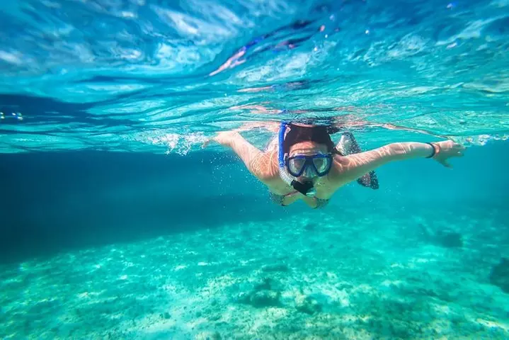 Immerse yourself in the Caribbean Sea of Cozumel. Snorkeling adventure tour - Primary Image