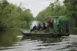 Airboat Swamp Tour with Transportation from New Orleans - Second Medium