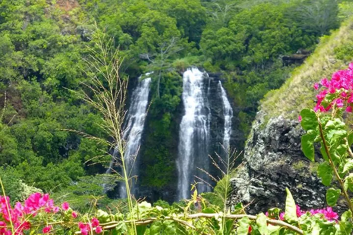 Kauai Eastside Waterfalls & Local Grinds-Small Group Tour