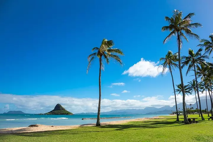 Oahu's Ultimate Tour: Dole, Turtle Snorkel, Pali Lookout & More