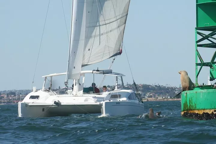 2.5-Hour Small-Group Catamaran Sailing Adventure with Drinks