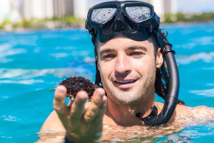 Waikiki Turtle Snorkel and Sail on Hawea Catamaran