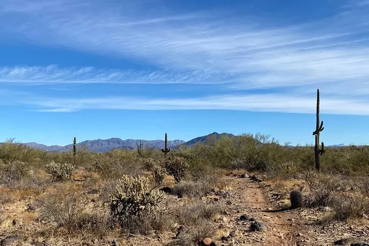 3 Hour Sonoran Desert Private Guided Mountain Bike Tour
