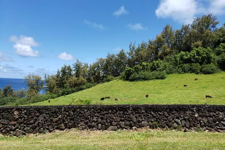 Maui Tour : Road to Hana Day Trip from Lahaina with Pick-up
