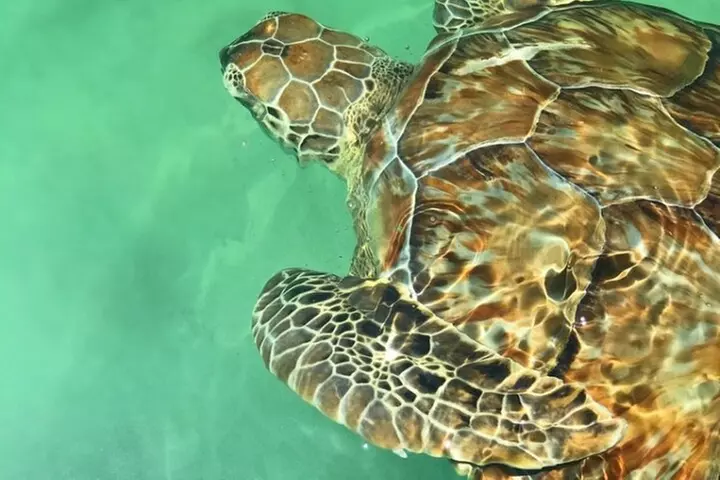 Miami Private Boat Rental to Sandbars and More