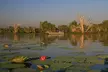 Corroboree Billabong Wetland Cruises - 2 hour Sunset Cruise - Image 2