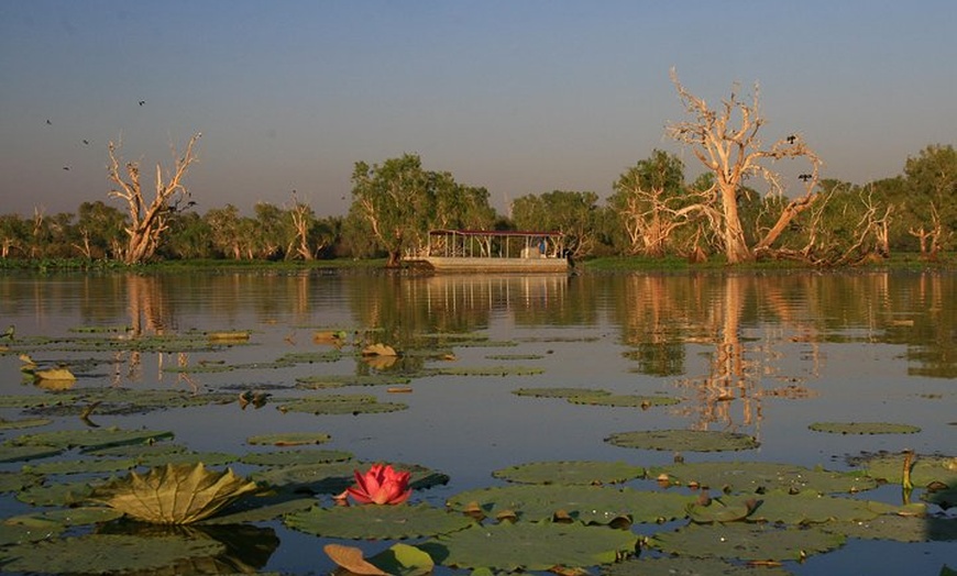 Image 1: Corroboree Billabong Wetland Cruises - 2 hour Sunset Cruise