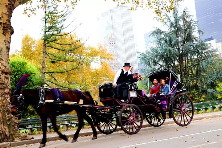 NYC Horse Carriage Ride in Central Park (50 Min. Up to 4 Adults)