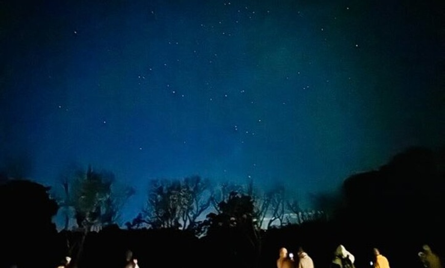 Image 10: Brisbane: Glow Worms, Skywalk & StarGazing with Telescope