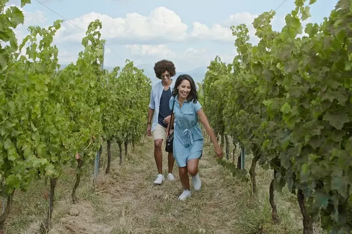 Toronto: Private Wine Tasting Tour in Niagara-on-the-Lake - Primary Image