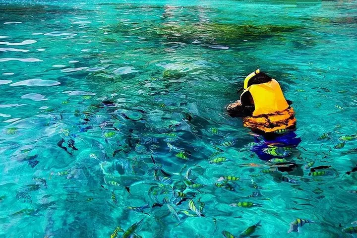 Kona Snorkel Tour: Captain Cook Reef Snorkel, Dolphin & Sea Caves