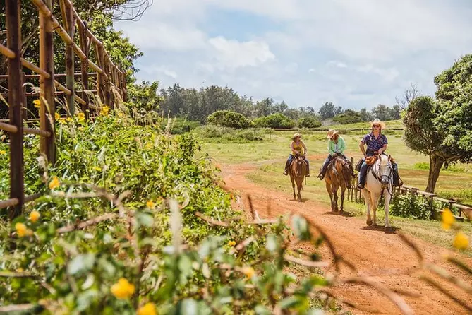 Horseback Ride Like an Authentic Paniolo in Kahuku - Primary Image